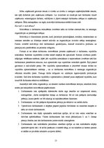 Referāts 'SIA "Sargeņģeļi" apsardzes firmas raksturojums', 13.