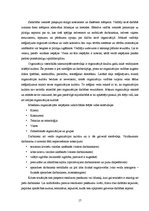 Referāts 'SIA "Sargeņģeļi" apsardzes firmas raksturojums', 17.