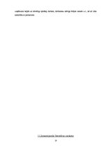 Referāts 'SIA "Sargeņģeļi" apsardzes firmas raksturojums', 19.