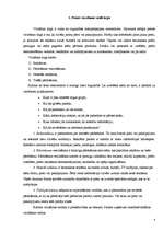 Referāts 'Pārdošana un tās veicināšana', 4.