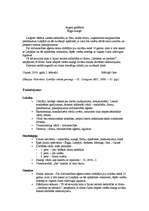 Konspekts 'Latviešu valodas funkcionālie stili', 3.