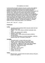 Konspekts 'Latviešu valodas funkcionālie stili', 5.