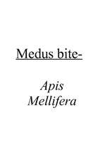 Referāts 'Medus bite', 1.