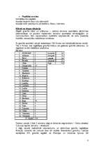 Biznesa plāns 'Akmens apstrāde ', 8.