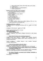 Biznesa plāns 'Akmens apstrāde ', 10.