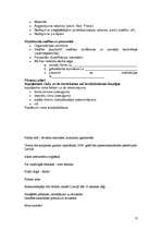 Biznesa plāns 'Akmens apstrāde ', 13.