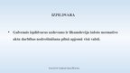 Prezentācija 'Konstitucionālisma jēdziens un konstitucionālisma galvenie pamatprincipi', 42.
