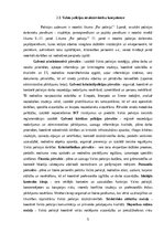 Referāts 'Reidi izglītības iestādēs', 5.
