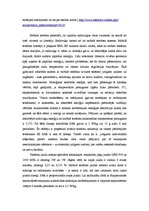 Referāts 'Mobilā telefona un elektromagnētiskā lauka ietekme uz cilvēka veselību', 6.