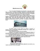 Referāts 'Itālijas vīnu rūpniecība un tradīcijas', 3.