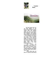 Referāts 'Itālijas vīnu rūpniecība un tradīcijas', 6.