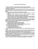 Referāts 'Dokumentu aprite uzņēmumā. Dokumentu apstrādes optimizācijas iespējas ', 3.