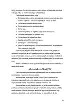 Referāts 'Personāla vadības process uzņēmumā: personāla atlase un darba uzsākšana', 24.