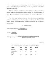 Referāts 'Finanšu analīze AS "Madara Cosmetics"', 10.