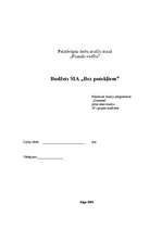 Referāts 'SIA "Bez putekļiem" budžets', 1.