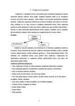 Referāts 'SIA "Bez putekļiem" budžets', 5.