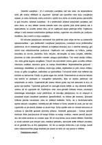 Referāts 'SIA "Bez putekļiem" budžets', 6.