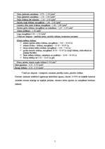 Referāts 'SIA "Bez putekļiem" budžets', 7.