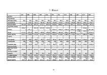 Referāts 'SIA "Bez putekļiem" budžets', 14.