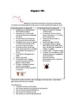 Konspekts 'Atguļas tīfs', 1.