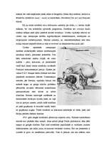 Referāts 'Sirreālisms un Salvadors Dalī', 4.