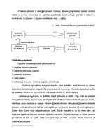 Konspekts 'Pirkšanas lēmuma pieņemšanas posmi un firmu mārketinga aktivitāšu ietekme', 2.