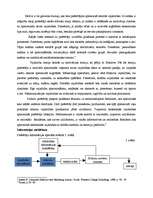 Konspekts 'Pirkšanas lēmuma pieņemšanas posmi un firmu mārketinga aktivitāšu ietekme', 3.