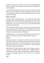 Paraugs 'Valentīndienas scenārijs', 24.