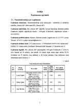 Biznesa plāns 'Biznesa plāns augļu pārstrādes uzņēmumam', 5.