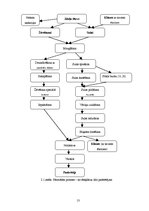 Biznesa plāns 'Biznesa plāns augļu pārstrādes uzņēmumam', 13.
