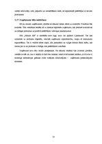 Biznesa plāns 'Biznesa plāns augļu pārstrādes uzņēmumam', 24.