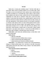 Referāts 'Biznesa plāna sastādīšanas principi', 3.