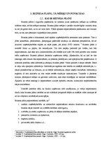 Referāts 'Biznesa plāna sastādīšanas principi', 5.