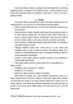 Referāts 'Biznesa plāna sastādīšanas principi', 6.