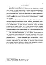 Referāts 'Biznesa plāna sastādīšanas principi', 7.