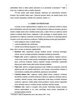 Referāts 'Biznesa plāna sastādīšanas principi', 11.