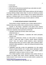 Referāts 'Biznesa plāna sastādīšanas principi', 13.