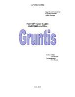 Referāts 'Grunts', 1.