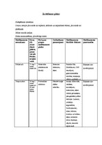 Paraugs 'Pacienta slimības vēsture. Žultsakmeņu slīmība', 9.