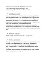 Prakses atskaite 'Viesnīca "Gutenbergs"', 10.