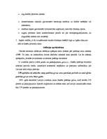 Konspekts 'Inflācijas būtība un veidi', 4.