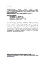 Referāts 'Renesanse', 4.