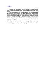 Referāts 'Renesanse', 13.