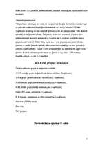 Referāts 'A/S "UPB holdings" uzņēmuma stratēģija', 5.