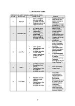Diplomdarbs 'Subaģentu sistēmas izveide tūrisma aģentūrai', 19.