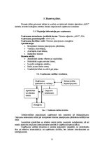 Diplomdarbs 'Subaģentu sistēmas izveide tūrisma aģentūrai', 31.