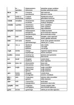 Konspekts 'Termini latīņu valodā', 2.