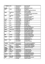 Konspekts 'Termini latīņu valodā', 3.