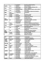 Konspekts 'Termini latīņu valodā', 4.