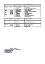 Konspekts 'Termini latīņu valodā', 6.